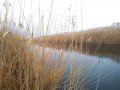IMG_20190217_083400-1600x1200.jpg