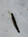 IMG_20190217_140841.jpg