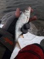 20190216_094759.jpg