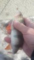 20190216_124317.jpg