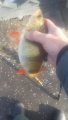 20190216_133624.jpg