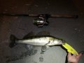 IMG_20190219_210913.jpg