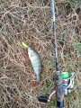 IMG_20190222_185211.jpg