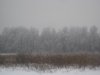 IMG_5398.jpg