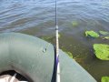 IMG_2549.JPG