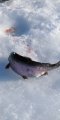 IMG-20190307-WA0018.jpg