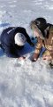 IMG-20190307-WA0017.jpg