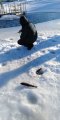 IMG-20190307-WA0015.jpg