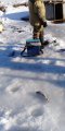IMG-20190307-WA0014.jpg