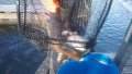 20190307_082730.jpg