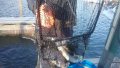20190307_082620.jpg