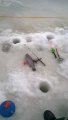 IMG-20190308-WA0103.jpg