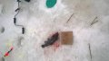 IMG-20190308-WA0076.jpg