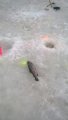IMG-20190308-WA0077.jpg