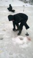 IMG-20190308-WA0062.jpg
