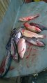 IMG-20190308-WA0132.jpg