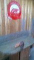 IMG-20190308-WA0112.jpg