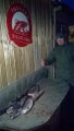 IMG-20190308-WA0167.jpg