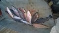 IMG-20190308-WA0162.jpg