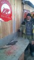 IMG-20190308-WA0159.jpg