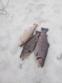 IMG-20190308-WA0151.jpg