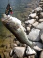 IMG_20160328_114411.jpg