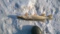 WP_20190315_09_48_29_Pro.jpg