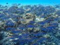 DSC01756.jpg