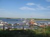 IMG_1311.jpg