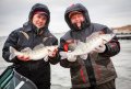 IMG_4784.jpg