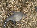 IMG_20190424_114616.jpg