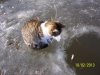 100_0644.jpg