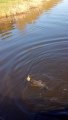 хрюхрюp Image 2019-05-02 at 22.04.35 (1) — копия.jpeg
