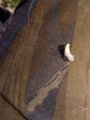 IMG_20190504_134419.jpg
