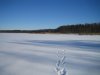 IMG_0129.jpg