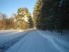 IMG_0177.jpg