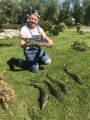 Рыболовная усадьба остров карта