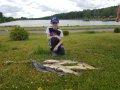 20190601_141740.jpg