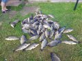 20190601_173615.jpg