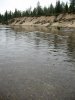 IMG_0129.JPG IMG_0129.JPG