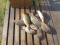 20190608_173912.jpg