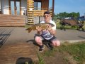 20190608_164308.jpg