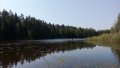 IMG_20100104_120559.jpg