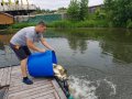 20190612_120354.jpg