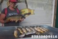 DSC_0012.JPG