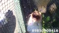 IMG_20190620_095216.jpg