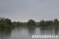 DSC_0009.JPG