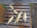 20190626_173135.jpg