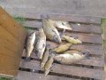 20190626_161605.jpg