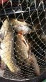 20190705_123931.jpg